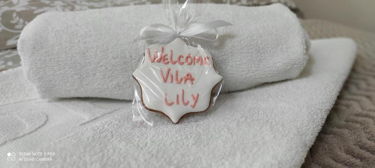 Vila Lily Smederevo Exterior photo